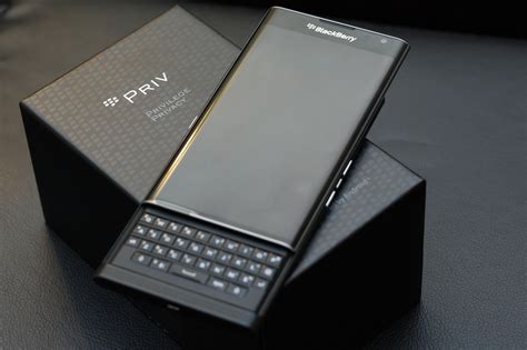 Blackberry tamir